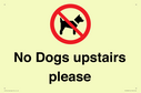 no-dogs-upstairs-please-~